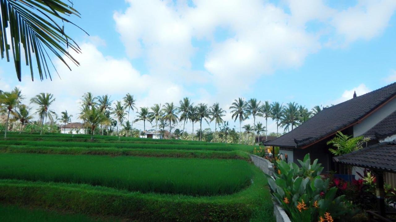 Amaya Cottage Ubud By Shm Εξωτερικό φωτογραφία