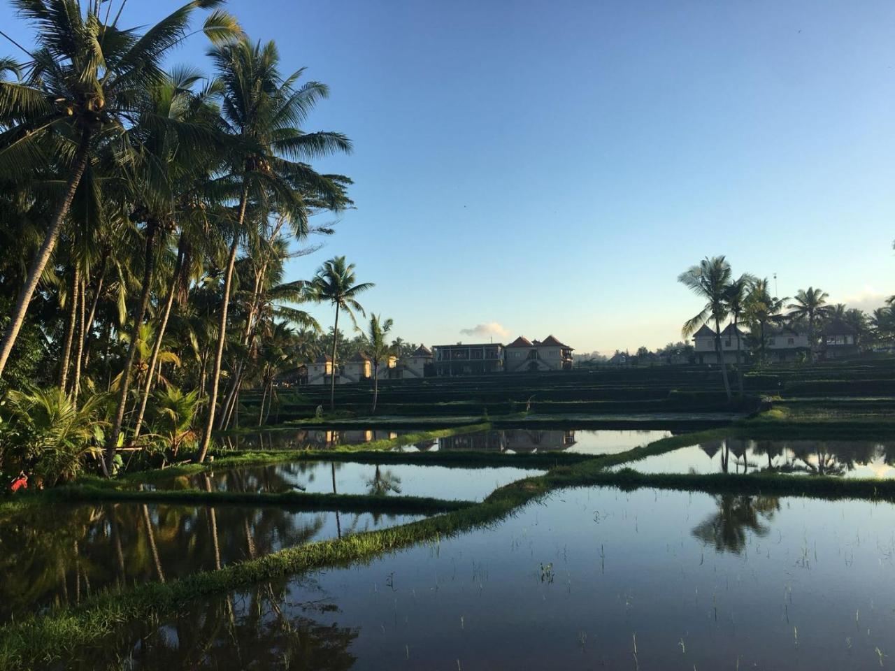 Amaya Cottage Ubud By Shm Εξωτερικό φωτογραφία