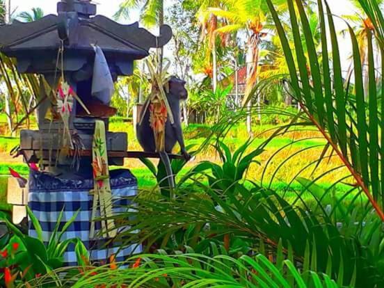 Amaya Cottage Ubud By Shm Εξωτερικό φωτογραφία