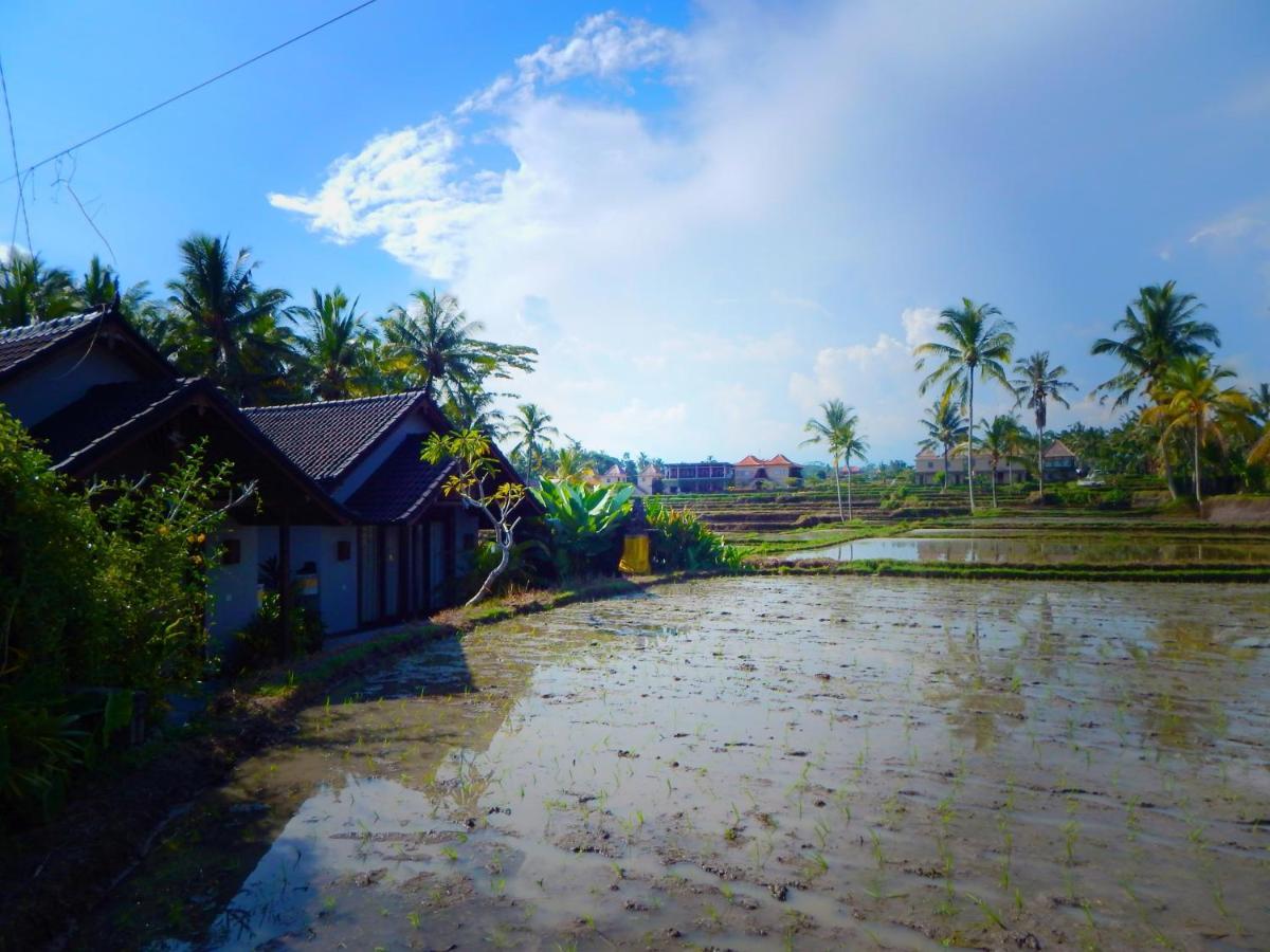 Amaya Cottage Ubud By Shm Εξωτερικό φωτογραφία