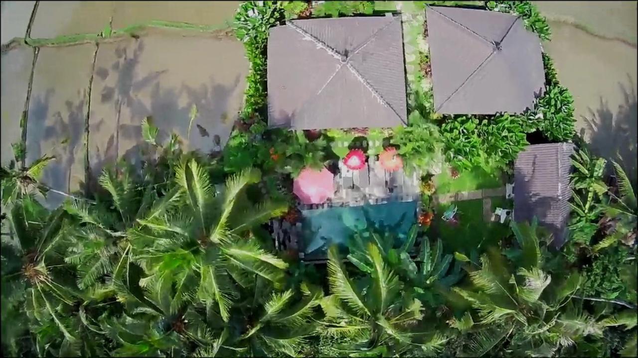 Amaya Cottage Ubud By Shm Εξωτερικό φωτογραφία